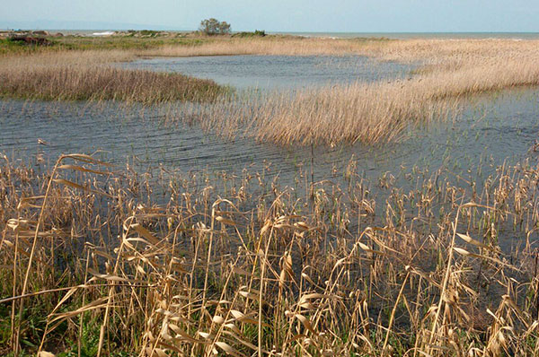 L’Ofanto, più di un fiume, tra natura verde e storia antica