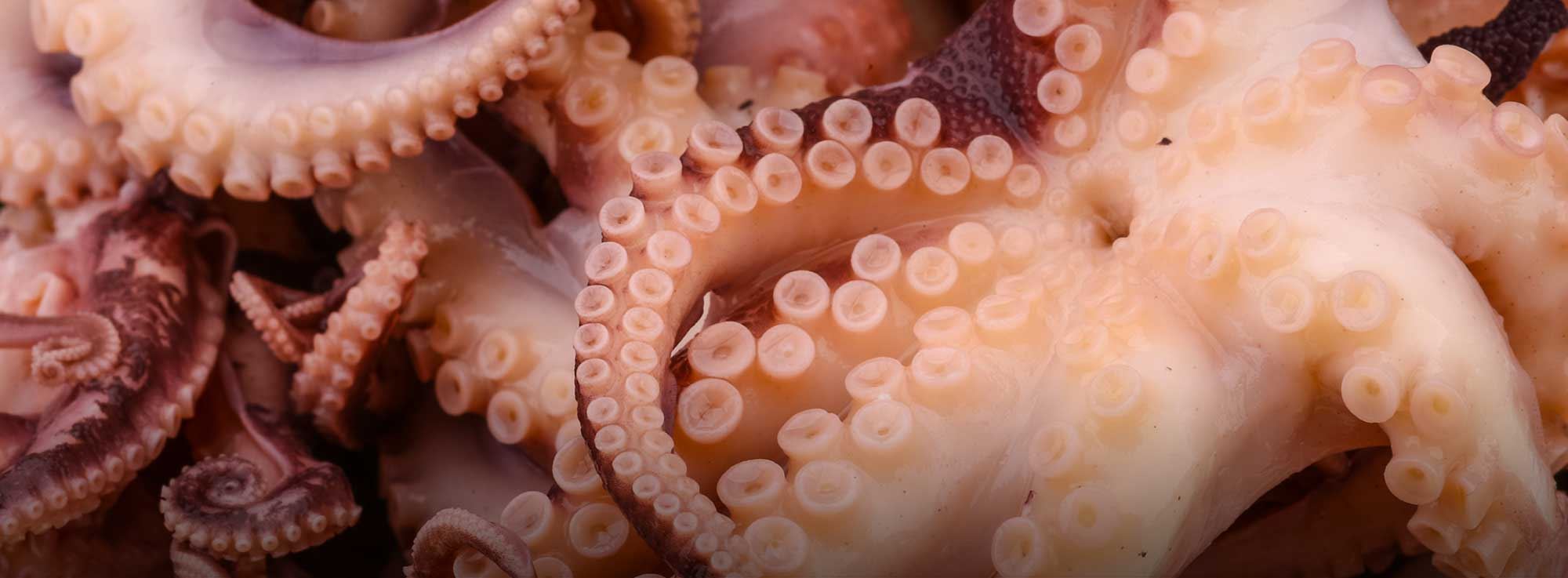 Ricetta: Polpo marinato