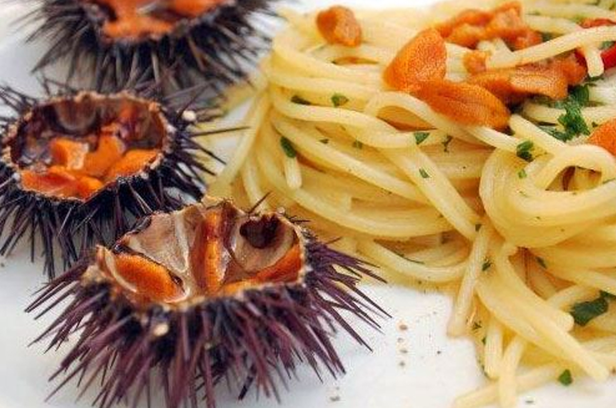 POPETPOP 8 Ciotole In Vero Riccio Di Mare Per Pi Grasse E Ananas – Decorazioni Marine Fai Da Te