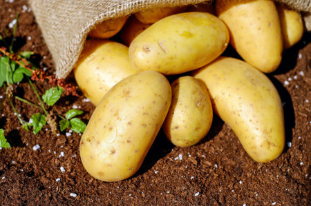 pitta di patate salentina