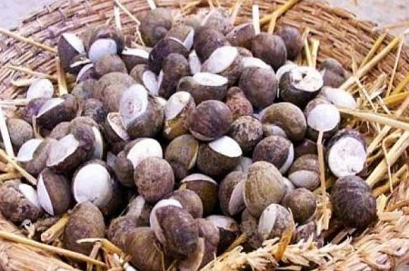 Monacelle alla pugliese