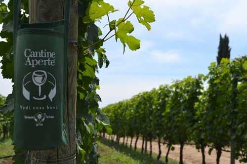 Cantine Aperte 2016