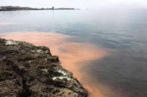 Gallipoli, il mare diventa arancione: “Colpa di un’alga”