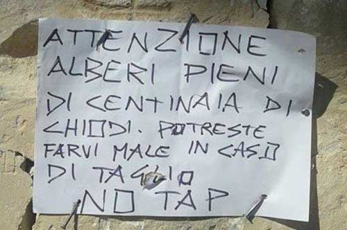 Salento, ironia contro il gasdotto: “Alberi pieni di chiodi, non rimuovere”