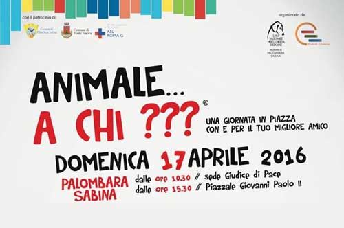 Animale… a Chi???