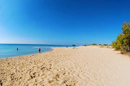 A Lecce ecco l’università in spiaggia