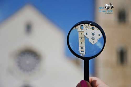 “Bat in un click”, foto e premi a Bisceglie