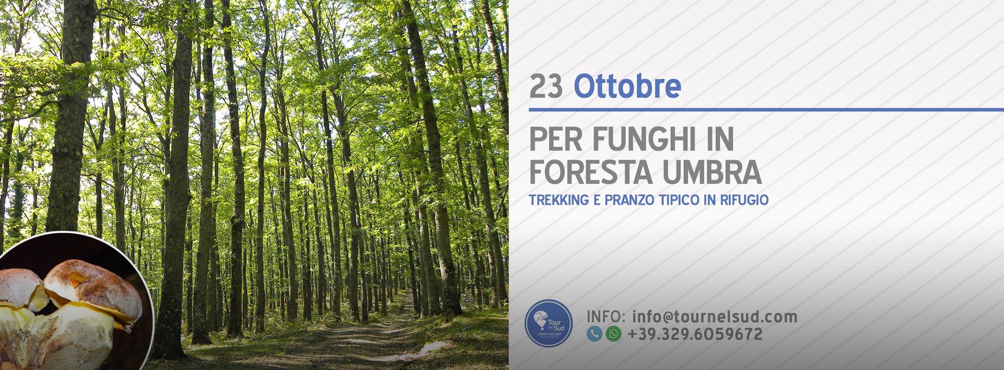 Foresta Umbra: Per funghi in Foresta Umbra