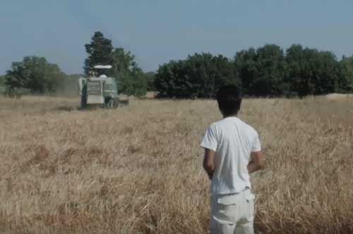 Mulino di comunità, in Puglia si può: il primo esempio a Castiglione d’Otranto