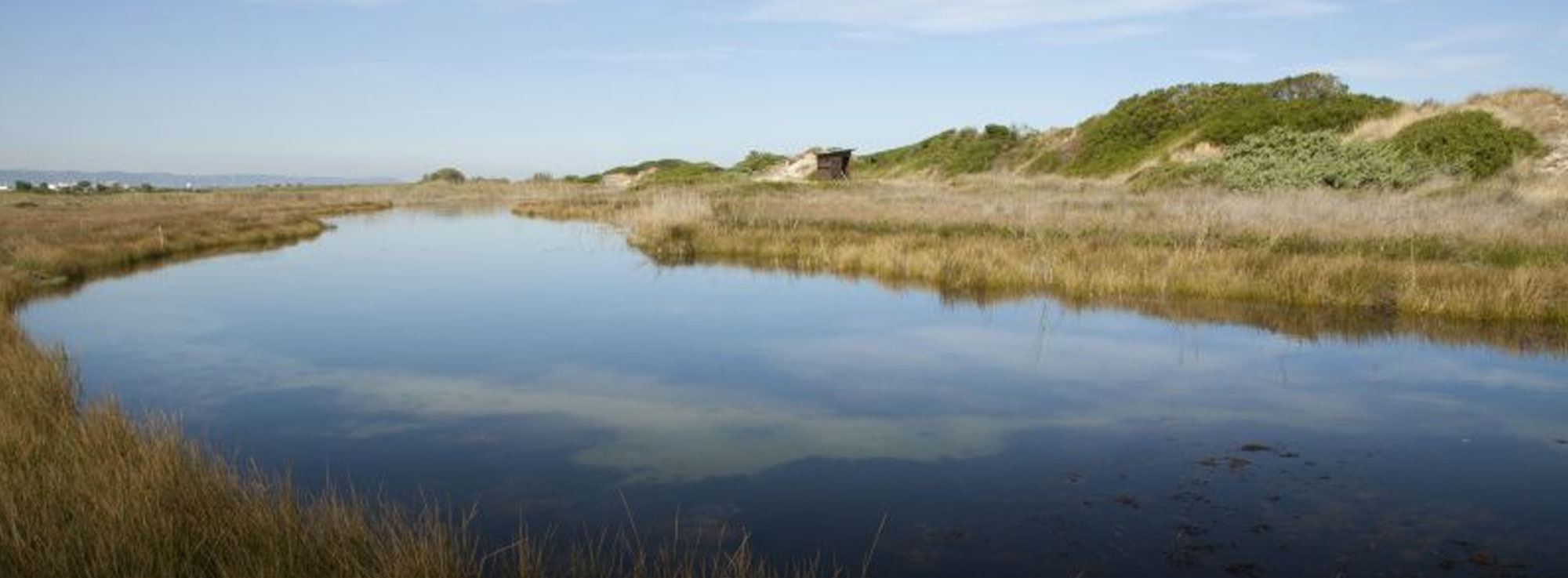 Ostuni: Escursione nel Parco Naturale Dune Costiere