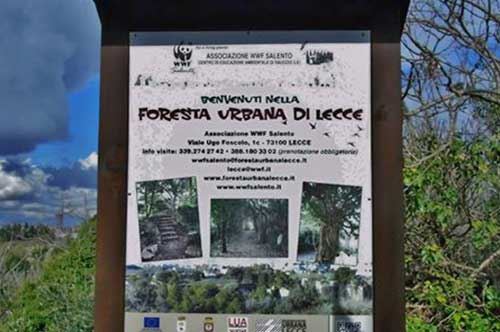 Lecce, ecco la foresta urbana del WWF: le foto