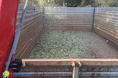 Brindisi, dai rami cippati si alimentano le stufe a pellet