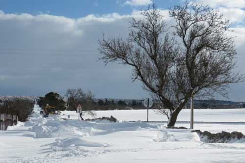 Emergenza-neve, la Puglia chiede 180 milioni di euro al Governo