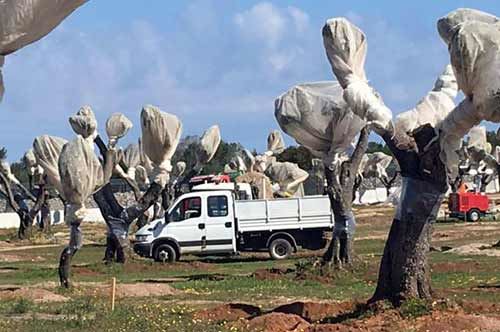 Tap, il Tar del Lazio ferma i lavori fino al 19 aprile