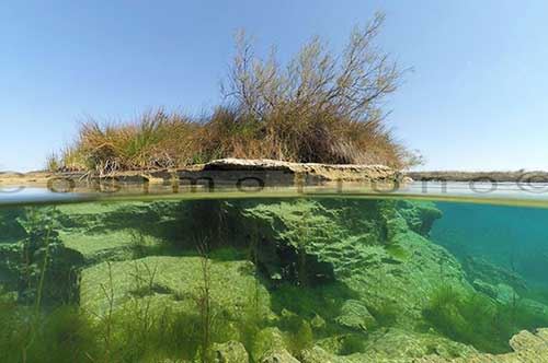Voglia d’estate, ecco il Salento subacqueo: le foto