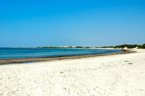 Il mare pugliese conquista l’Inghilterra: c’è Punta Prosciutto sul Telegraph