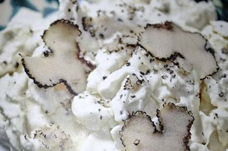 Burrata al Tartufo