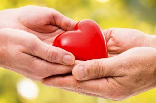 Comune di Trani, molti cittadini scelgono di donare gli organi in città