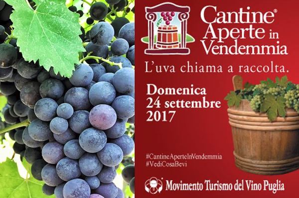 Cantine Aperte in Vendemmia