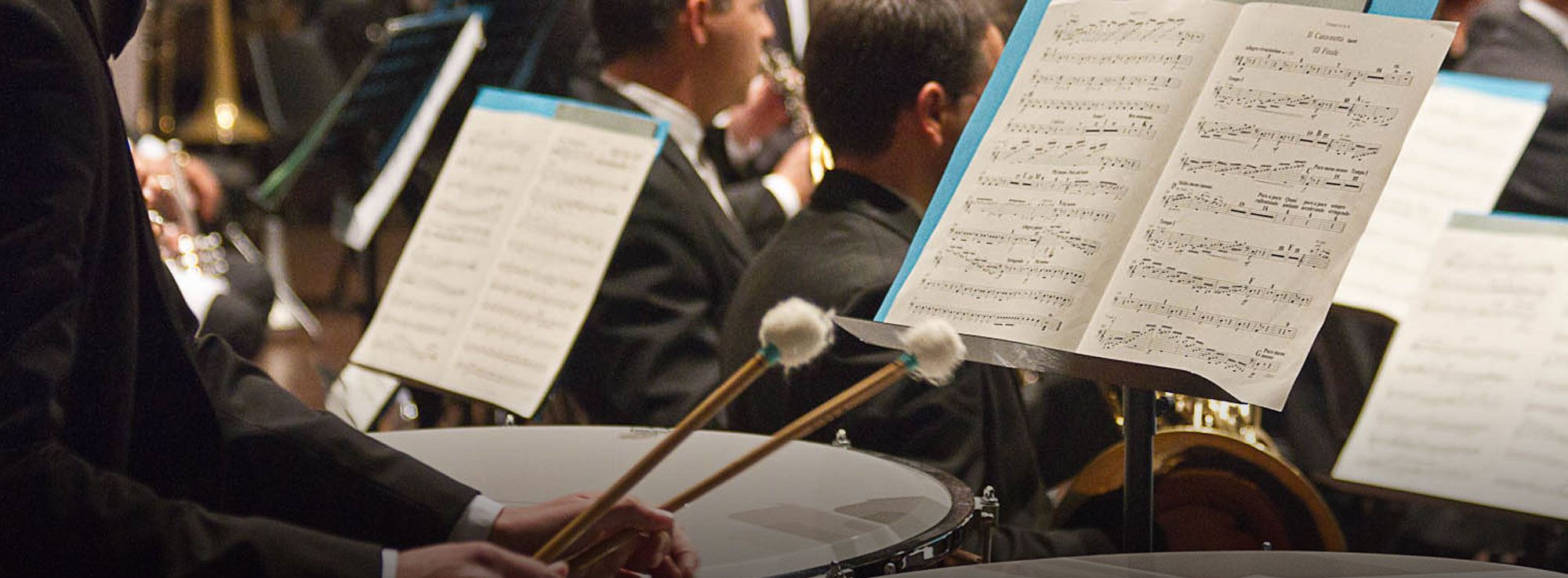 Fasano: Fasanomusica