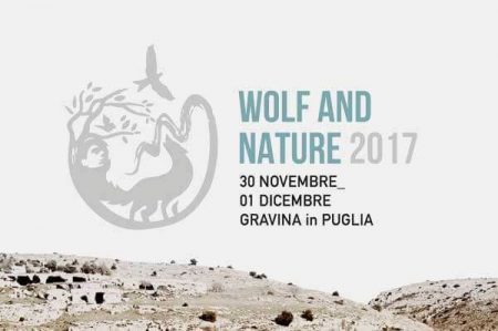wolf and nature