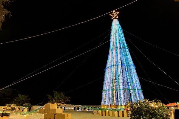 Alberi di Natale più belli di Puglia, la regione addobbata per le feste