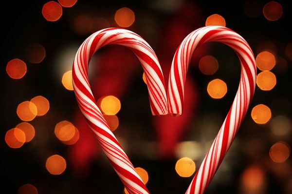 Lo staff di Puglia.com vi augura un Natale pieno di pugliesità Lo staff di Puglia.com vi augura un Natale pieno di pugliesità