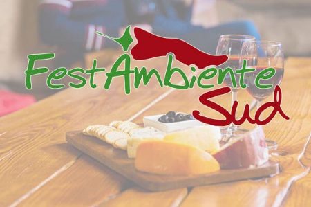 festambientesud