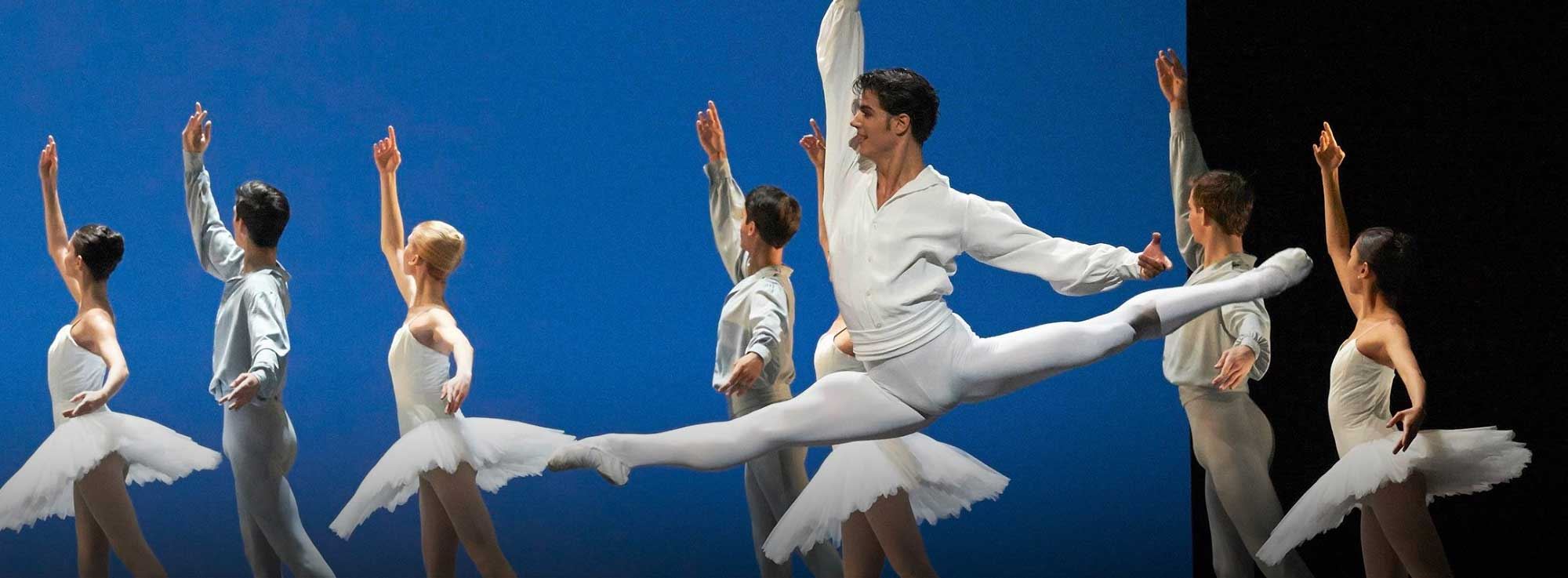 Bari: Il Balletto di Mosca ne Il Lago dei Cigni