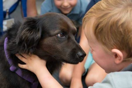 pet therapy san severo