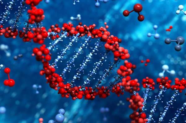 Scoperti nuovi meccanismi genetici grazie a dei ricercatori baresi Scoperti nuovi meccanismi genetici grazie a dei ricercatori baresi