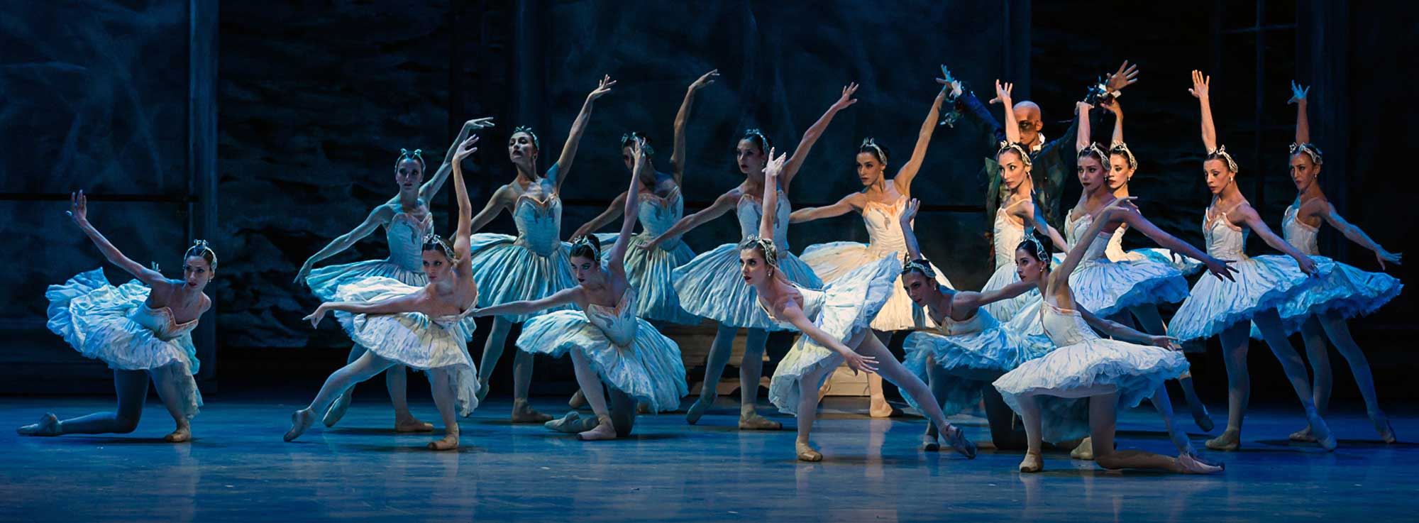 Lecce: Il Lago dei Cigni