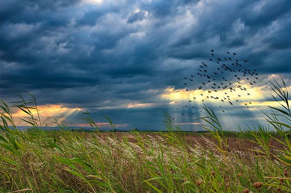 Meteo in Puglia per la prossima settimana, piccole tracce di primavera