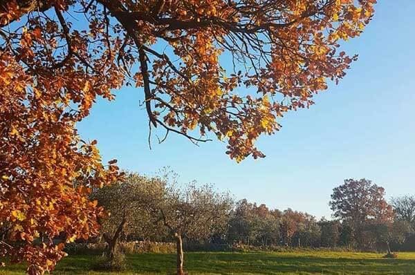 Il meteo di Domenica in Puglia, primavera in anticipo in regione