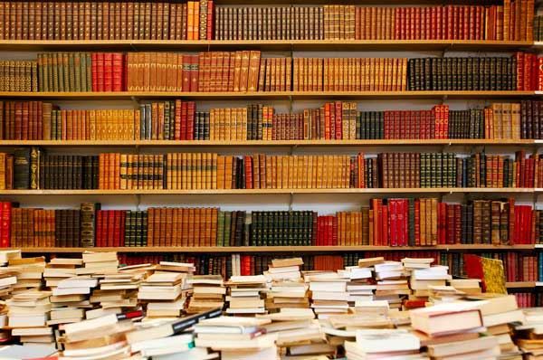 Biblioteche di Capitanata, stanziati 28 milioni di euro in Puglia