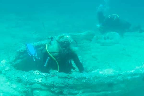 Foresta Pietrificata di Torre Ovo, mistero a pochi metri sott’acqua