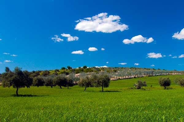 Temperature in aumento nella Puglia, meteo con rischio di leggere piogge