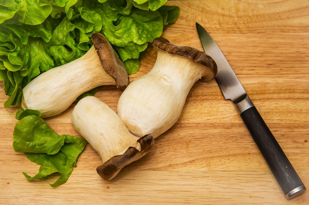 Cardoncello, il fungo d&rsquo;eccellenza della Murgia - Puglia.com