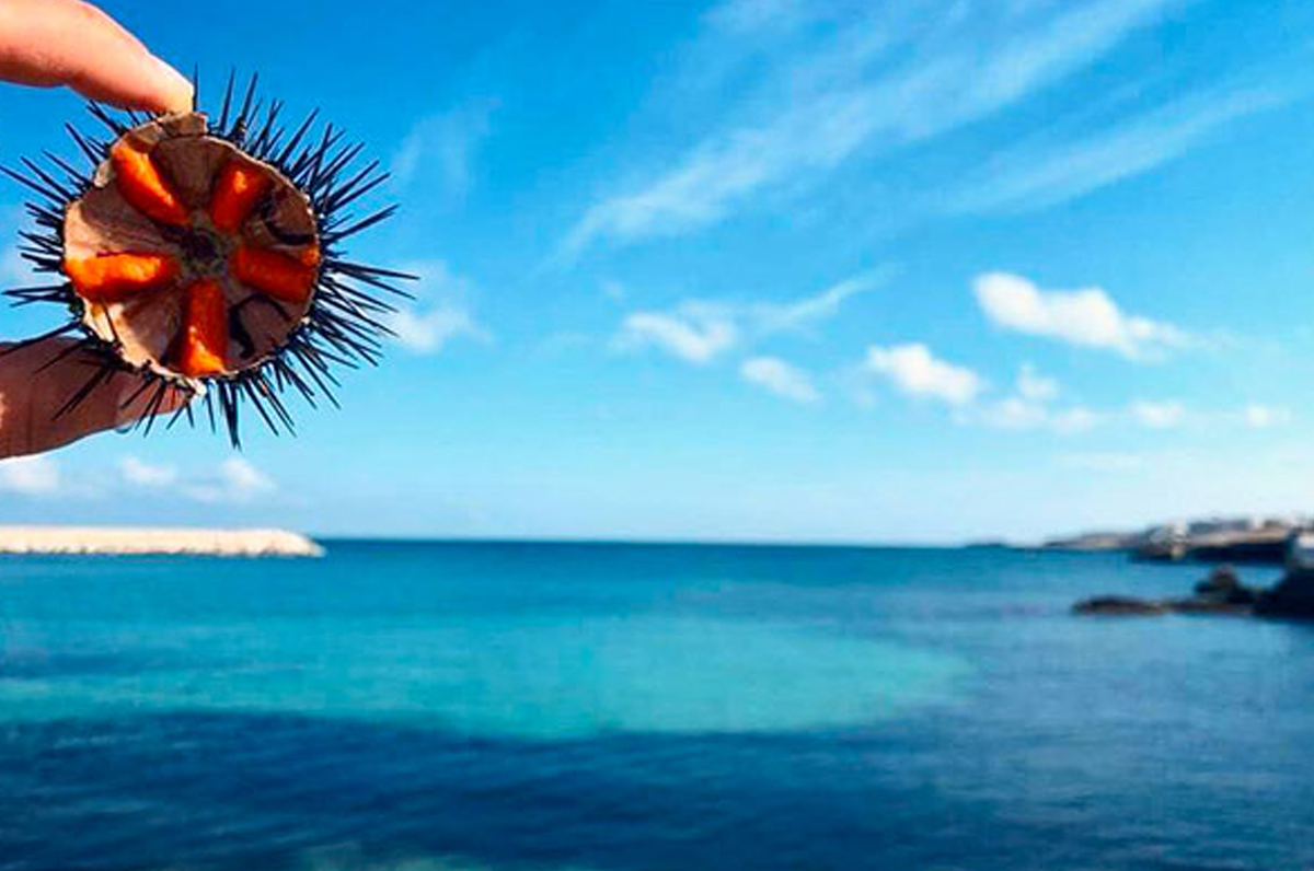 Un weekend in Puglia, tra mare, campi fioriti e sapori deliziosi