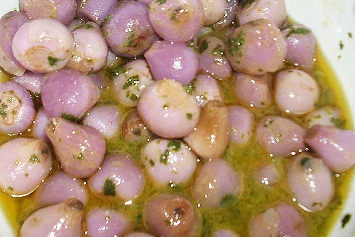 Lampascione, cipollotto amarognolo apprezzato sin dagli egizi