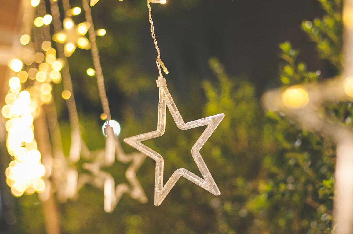 Christmas Garden, a Bari per Natale si cammina tra le stelle