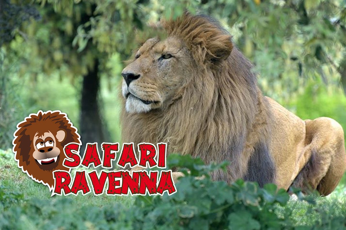 Safari Park Ravenna Zoo safari, falconeria, rettilario e parco giochi