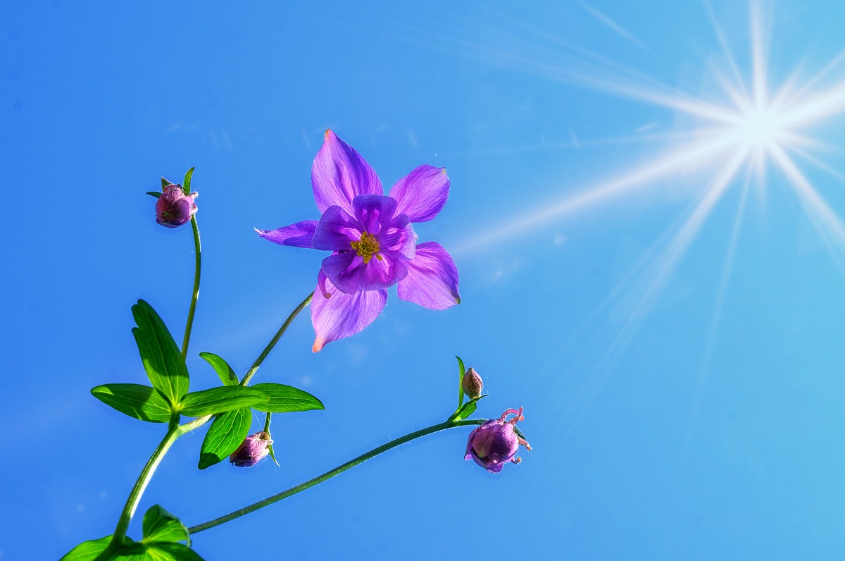 Meteo, primo weekend del mese con temperature primaverili