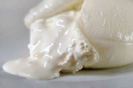 burrata