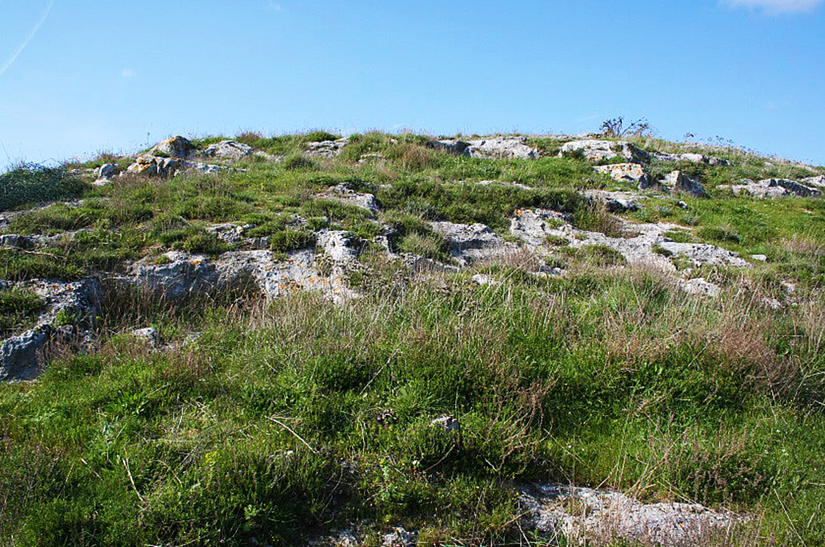 Necropoli di Monte Tabor: storia antica nel cuore del Gargano﻿