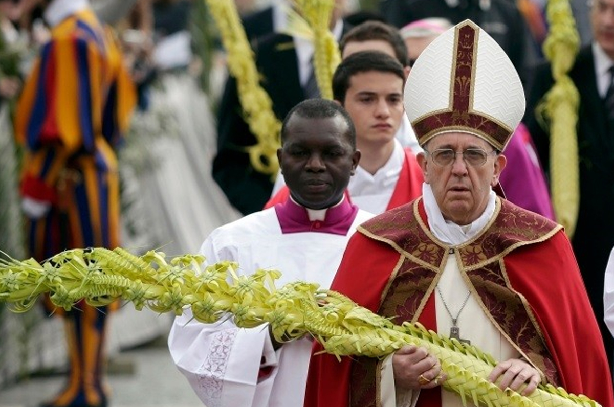 Santa Messa di Papa Francesco, 100 mila ramoscelli saranno pugliesi