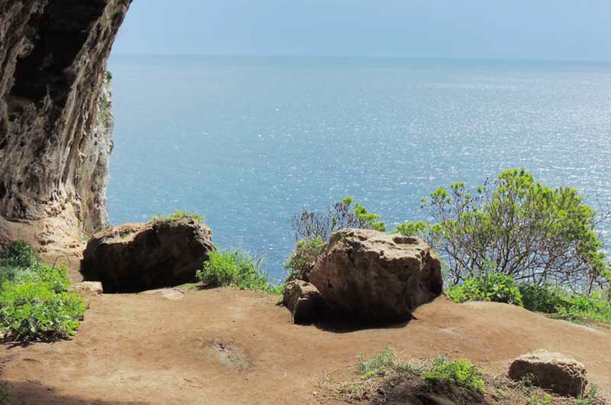 Bosco di Tricase: uno spaccato di storia della nostra Regione