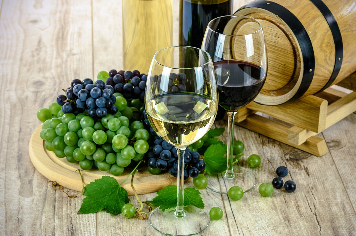 La Puglia è la prima regione d’Italia per la produzione dei vini