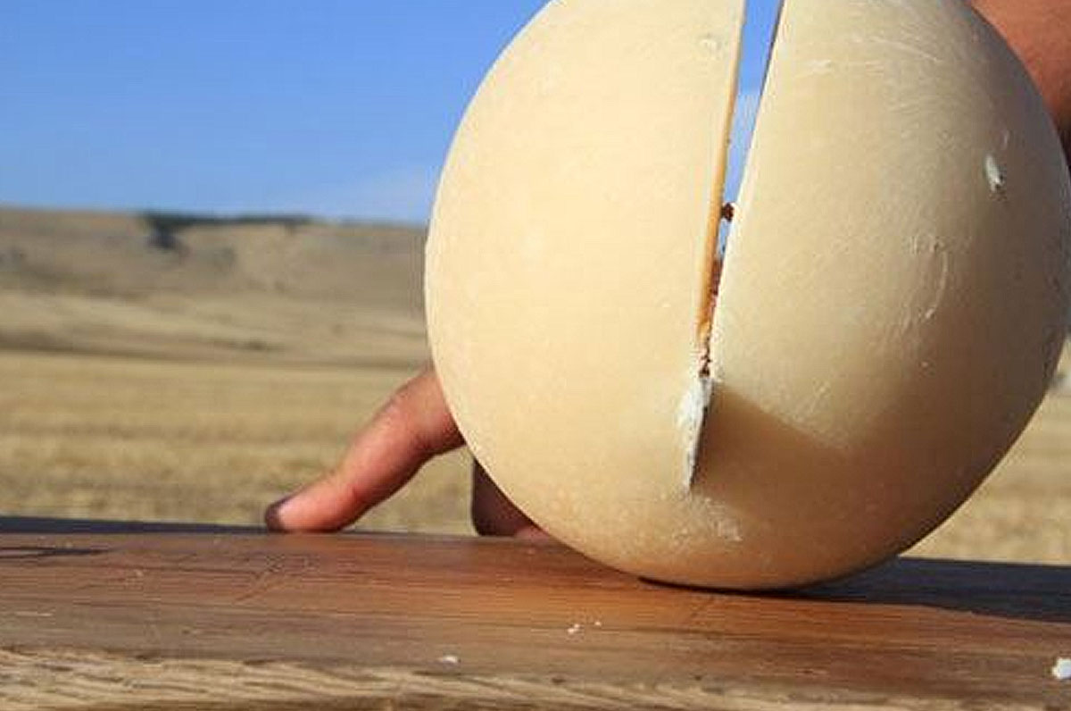 Pallone di Gravina, eccellenza culinaria della Murgia Pallone di Gravina, eccellenza culinaria della Murgia