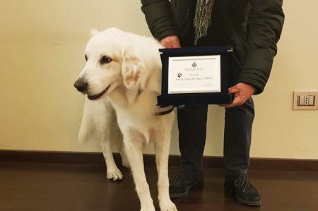 igor cane eroe Trani